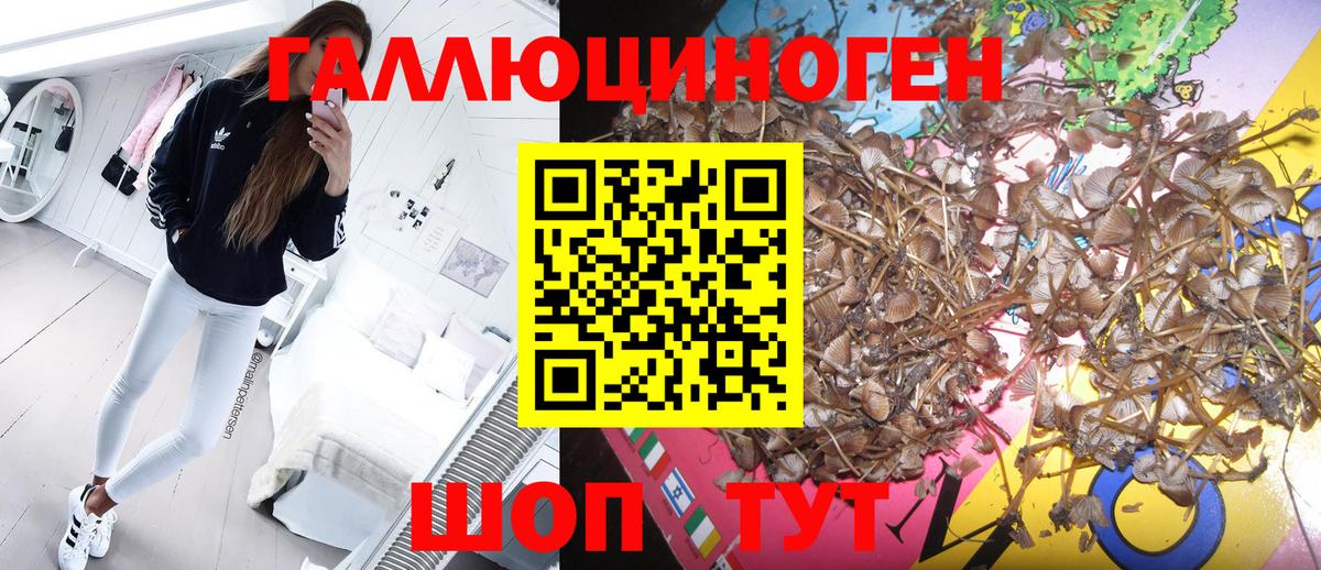 Галлюциногенные грибы мицелий  Вход с VPN  Ефремов  Галлюциногенные грибы Psilocybine cubensis 